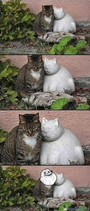 Forever alone cat