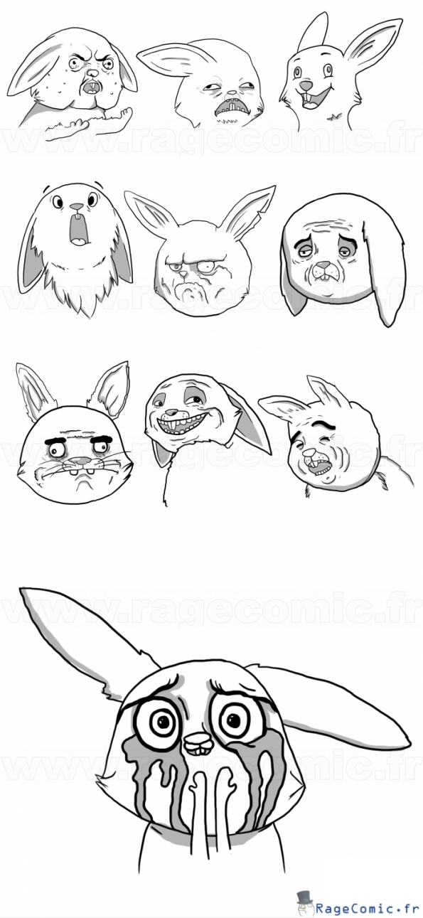 Memes lapins