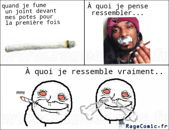 le joint