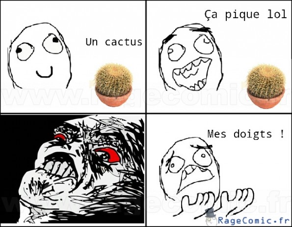 Un cactus lol
