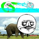 Me elephantsta