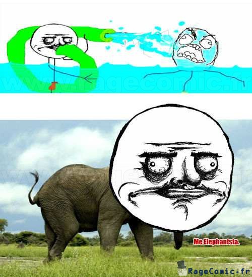 Me elephantsta