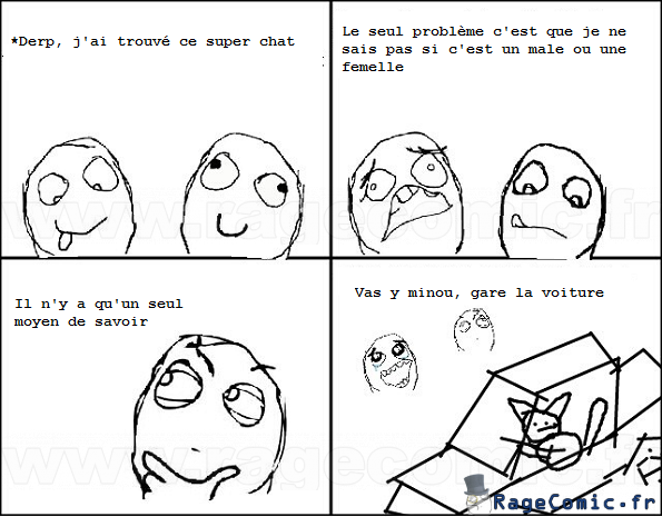 Quoi comme chat Quoi comme chat