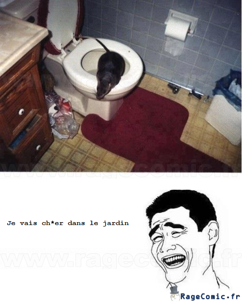 Rat dans les toilettes Rat dans les toilettes