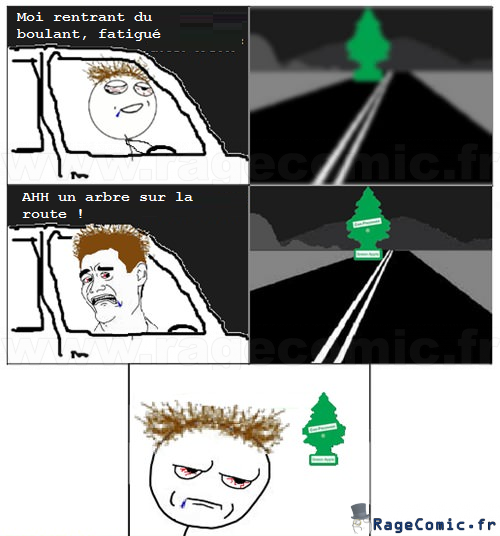 Arbre sur la route Arbre sur la route