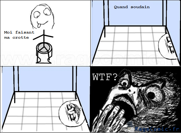 Ca m'a foutu les chtons