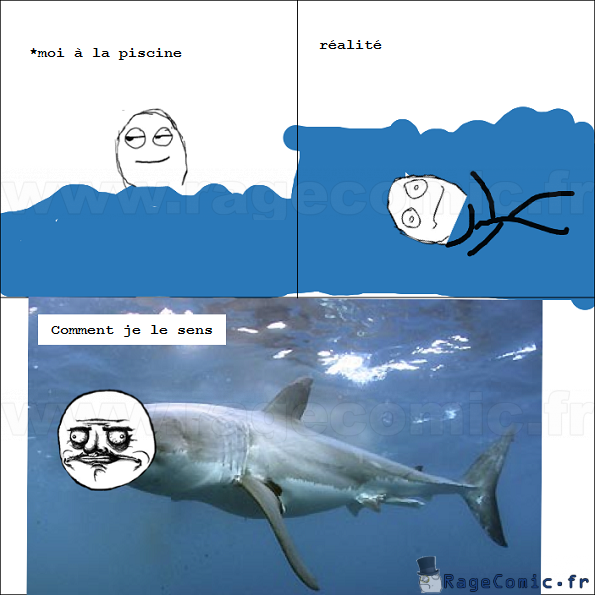 Je suis un requin !