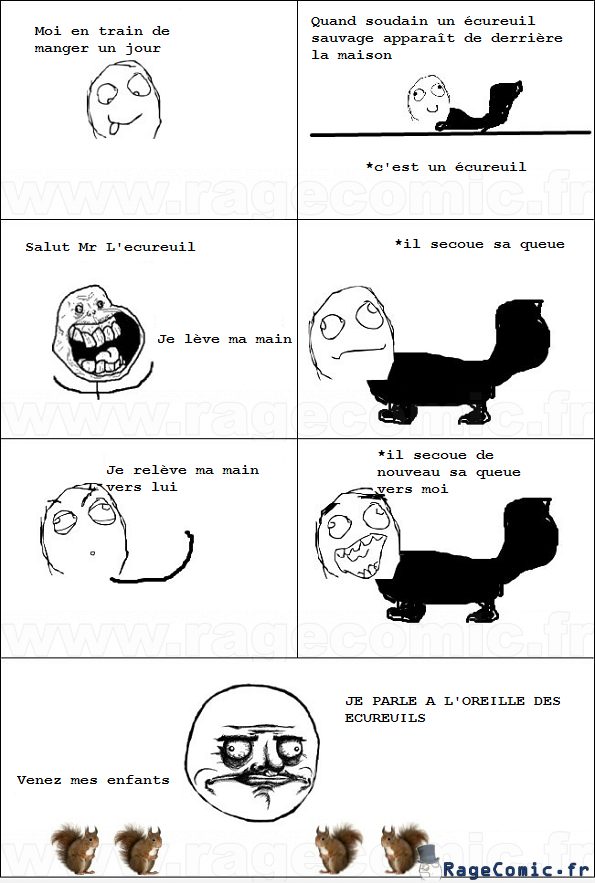 Les ecureuils Les ecureuils