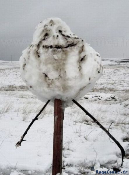 Forever a bonhomme de neige