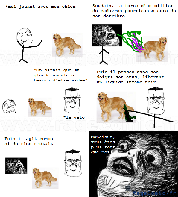 Le vétérinaire badass