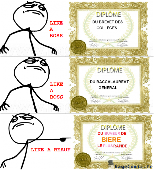 Les diplômes de Derp
