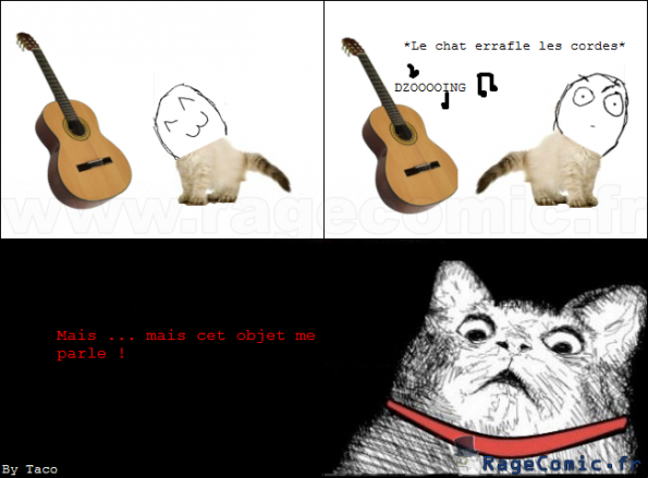 Le chat qui parlait à une guitare