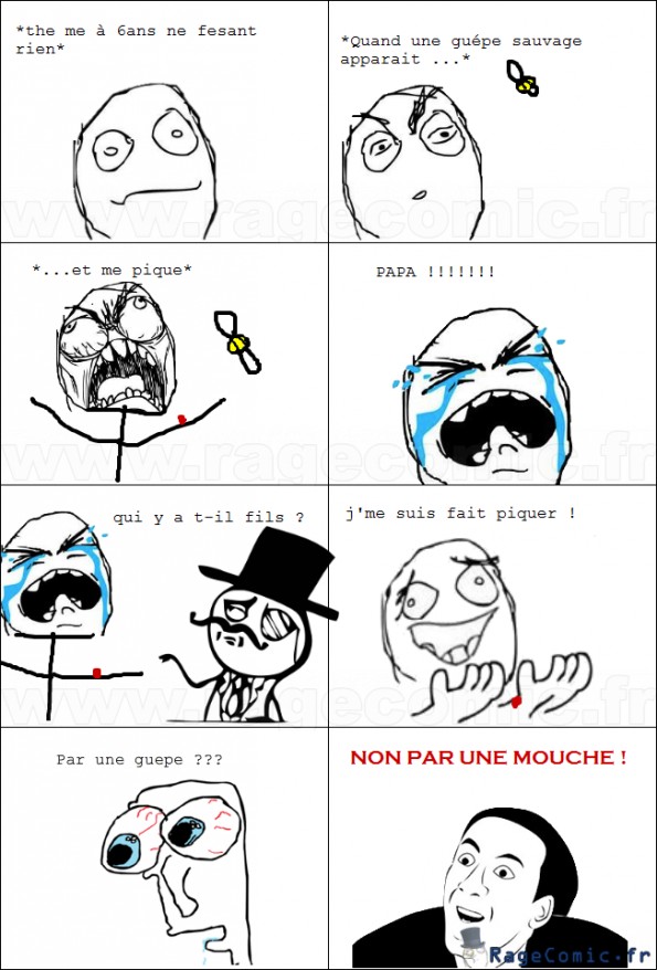 La mouche qui pique !