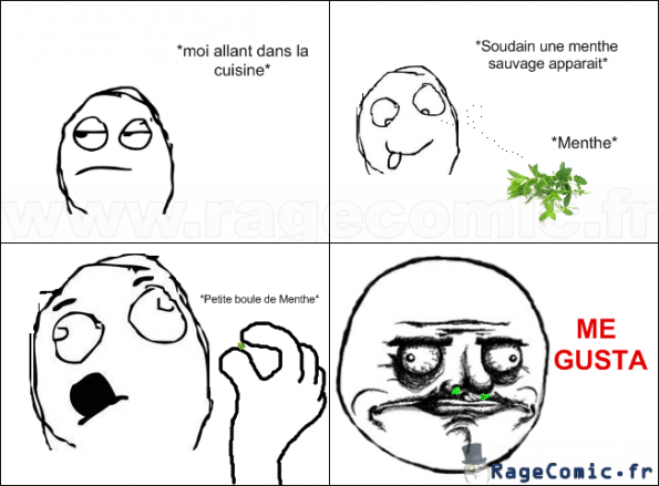 Me Gusta Menthe