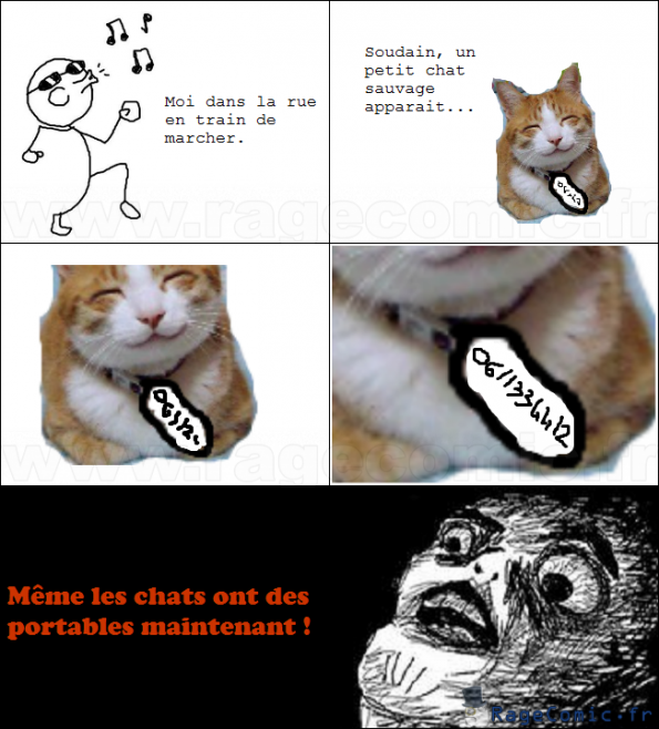 .:Chat branché:.