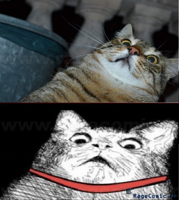 Just epic CATTT!!!!!! Just epic CATTT!!!!!!