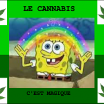 cannabis by Bob