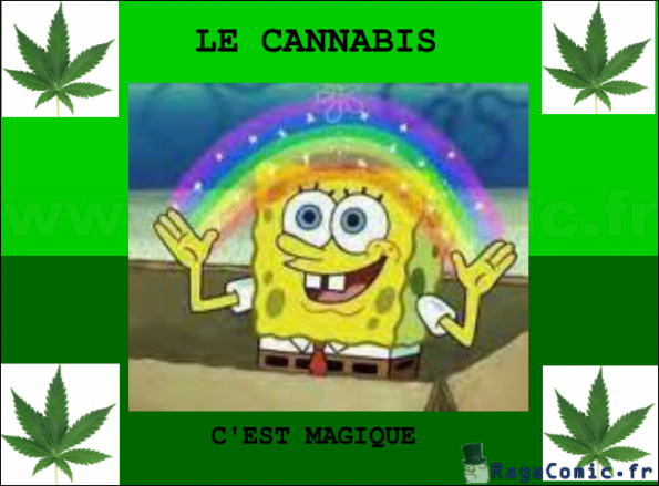 cannabis by Bob cannabis by Bob