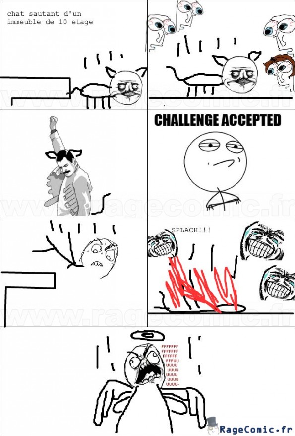 Le challenge du chat