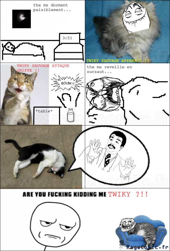 twiky, le troll cat twiky, le troll cat