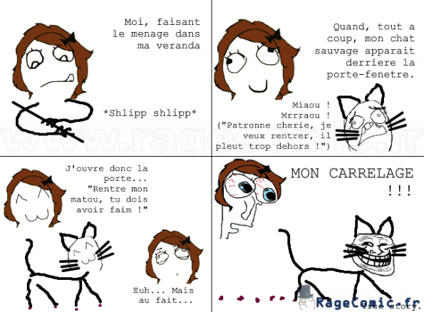 Mon chat me trolle Mon chat me trolle