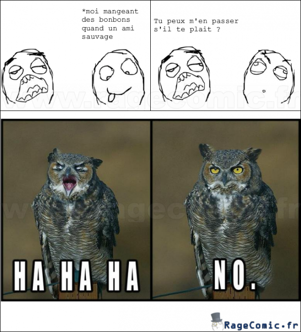 Biensûr que non Biensûr que non