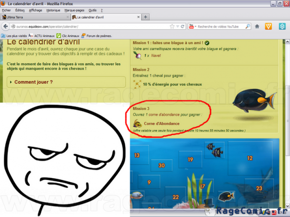 Equideow... Toute une histoire