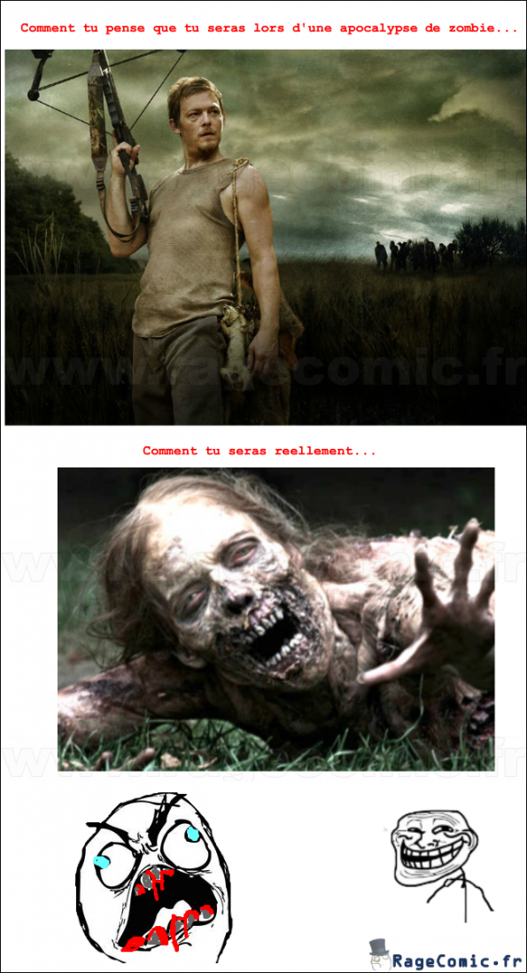 Fin du monde zombiesque Fin du monde zombiesque