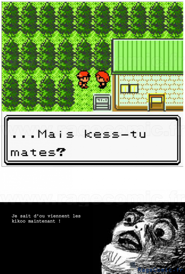 l'origine des kikoos l'origine des kikoos