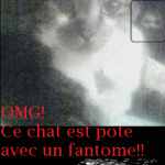 La preuve que les chats sont démoniaques...