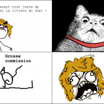 Ah les chats...