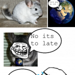 quand un chinchilla troll l'univers