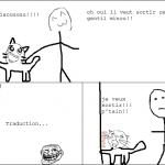 le langage des chats