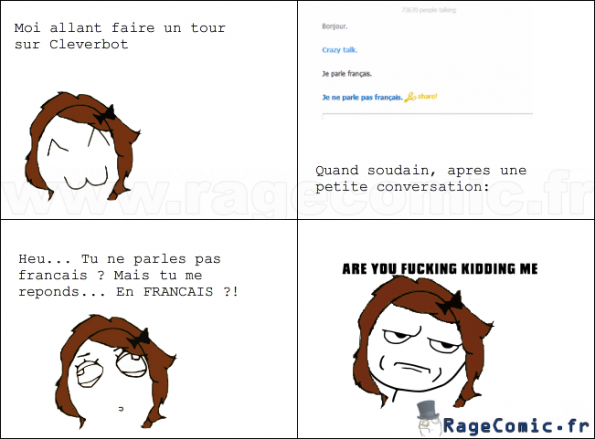 Stupide Cleverbot ! Stupide Cleverbot !