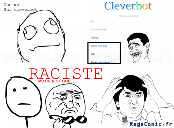 Cleverbot Raciste