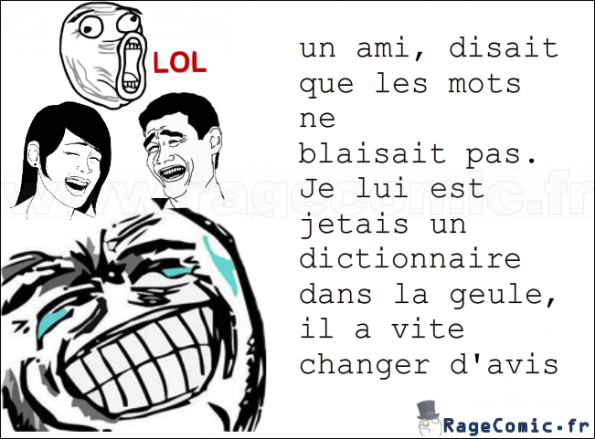 le dictionnaire et les mots