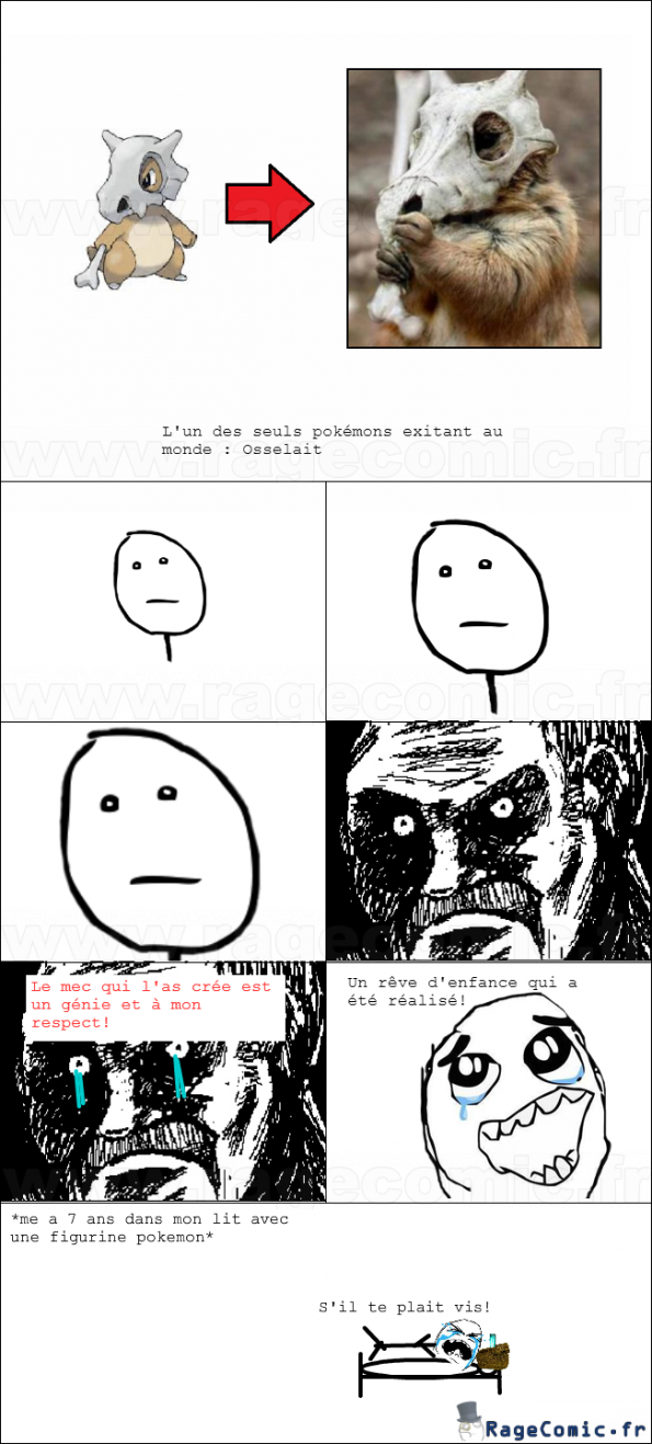 Premier pokémon of the world Premier pokémon of the world