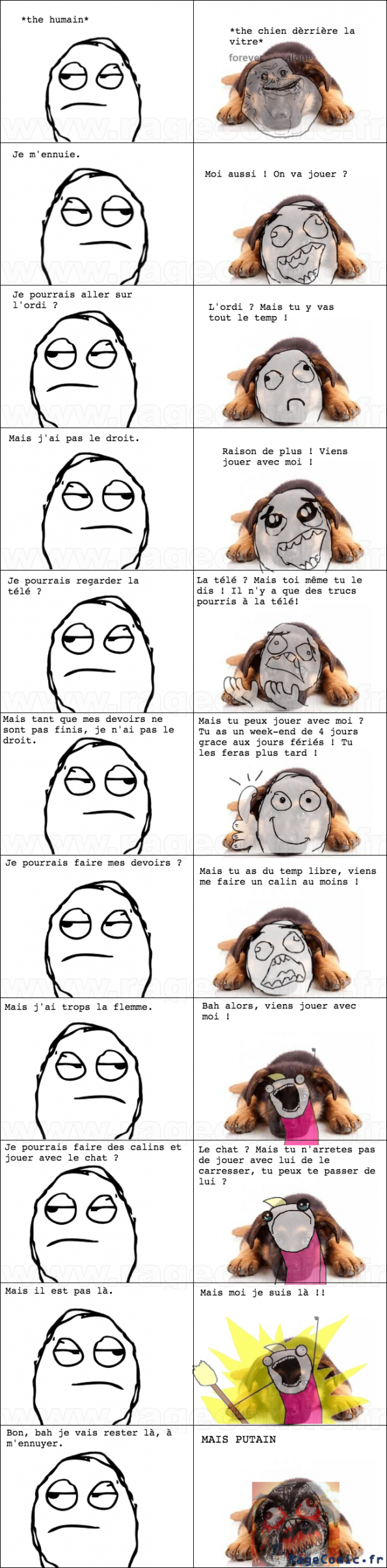 La dure vie des chiens. La dure vie des chiens.