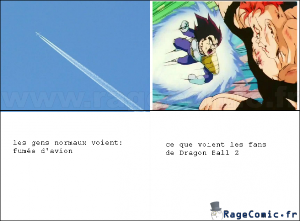 Fans de Dragon Ball Z