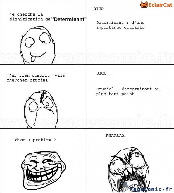 Un Dictionnaire qui n'explique rien!