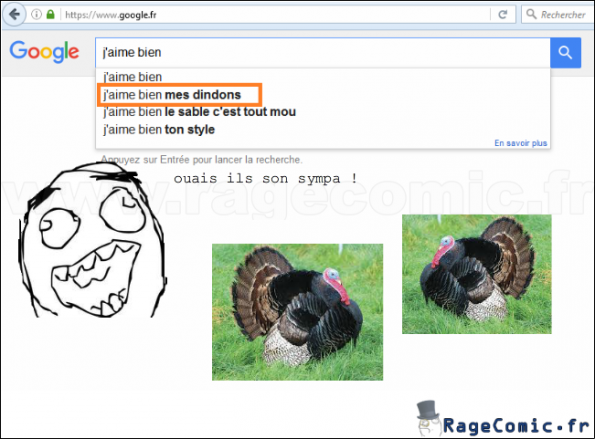 google : ton ami le dindon google : ton ami le dindon