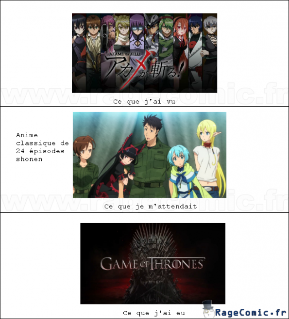 J'ai vu Akame ga kill