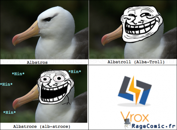 Les trois types d'albatros